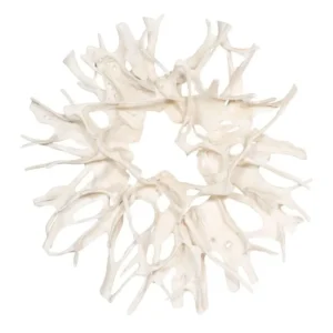 Cast Root Wall Decor, Faux Bleached